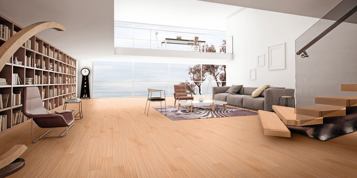 Carvalho Brasileiro Ambientada